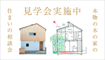 木組みの家づくり 松井郁夫建築設計事務所